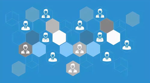 网络营销与专业网络推广 互联网销售的增效之道