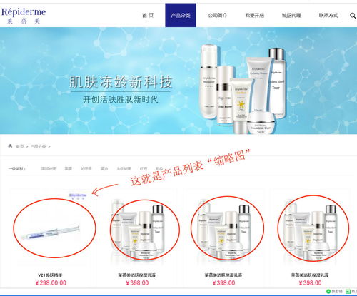 上海派网 一站式网站建设与SEO优化专家，助力企业在沪腾飞