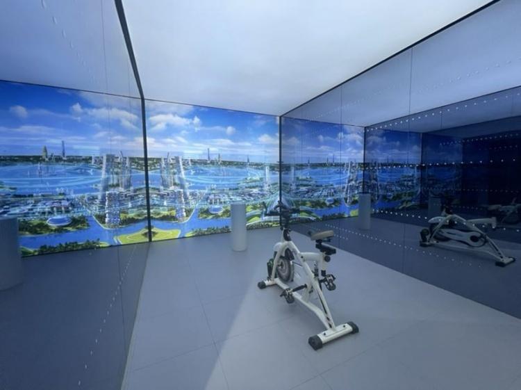 上海南汇网站建设规划与资源整合大全