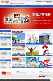 坚创电商 品牌网站建设 上海佳速网络